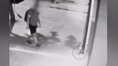 &quot;Είμαι μορφωμένος και έχω οικογένεια&quot;: Αρνείται ο 40χρονος ότι αυτός ποδοπάτησε μέχρι θανάτου το γατάκι στη Θεσσαλονίκη