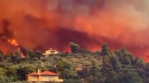 Φωτιά στην Εύβοια: Εφιάλτης με 30χλμ ανεξέλεγκτο πύρινο μέτωπο - Κάηκαν σπίτια - Οι φλόγες έξω από τη Μονή Οσίου Δαυίδ