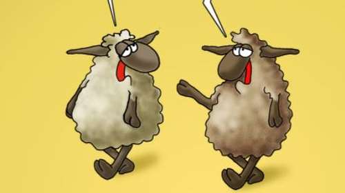 Αρκάς: Η.. περίπλοκη συζήτηση των προβάτων ενόψει Πάσχα