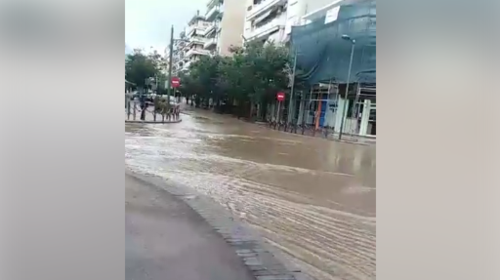 Απίστευτες εικόνες από τις πλημμύρες στις Σέρρες: Ξεβράστηκαν μέχρι και ...ψάρια στη στεριά [εικόνες - βίντεο]