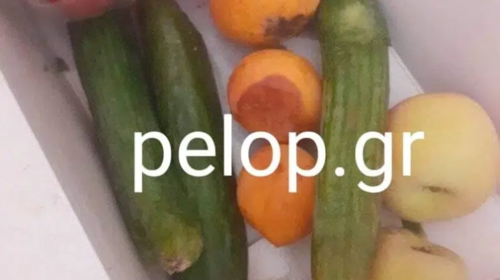 Πάτρα: Γονείς μαθητών δημοτικού καταγγέλουν ότι έλαβαν σάπια φρούτα στο σχολείο - &quot;Ηταν για γουρούνια, όχι για παιδιά&quot; [εικόνα]