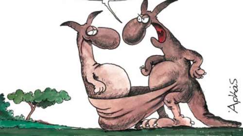 Αρκάς: Καλημέρα με... μπηχτή για την ελληνική οικογένεια [εικόνα]