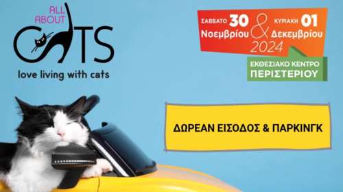 Καλά νέα για όλους τους γατο-φίλους - All About Cats Festival στις 30 Νοεμβρίου