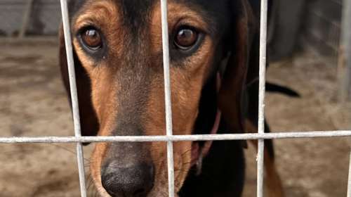 Ο Στράτος χάλασε... Οπότε; Πέταμα... Εσπασε το ποδαράκι του, κόλλησε στραβά και ήταν πλέον ένα άχρηστο εργαλείο