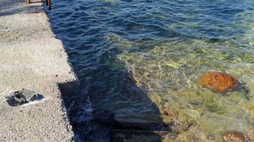Βόλος: Πτώμα ηλικιωμένης γυναίκας εντοπίστηκε στη θάλασσα της Αγριάς