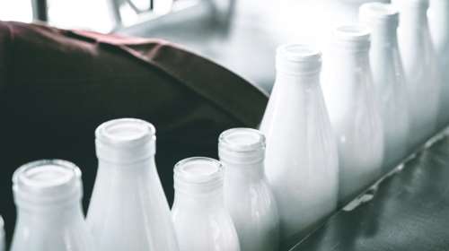 Οι δύο προκλήσεις στην αγορά του γάλακτος - Στα ίδια επίπεδα με το 2024 η παραγωγή του 2025