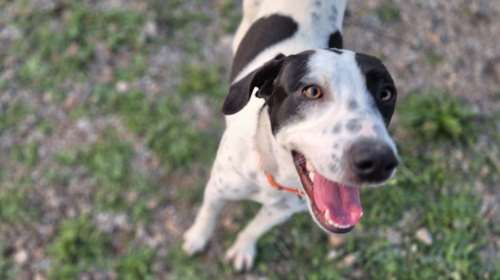 Η Βικτώρια βρέθηκε σε άθλια κατάσταση και μέχρι τώρα δεν είχε καμία τύχη