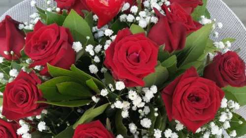 Θεσσαλονίκη: Περισσότερα από 100.000 κόκκινα τριαντάφυλλα περιμένουν τους ...ερωτευμένους της πόλης