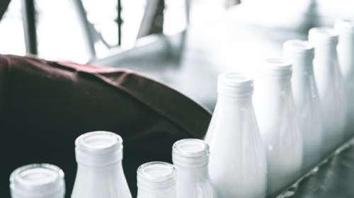 Ευλογιά: Τα ζώα θανατώνονται αλλά το γάλα αυξάνεται - Eισάγεται φθηνότερο και βαπτίζεται ελληνικό