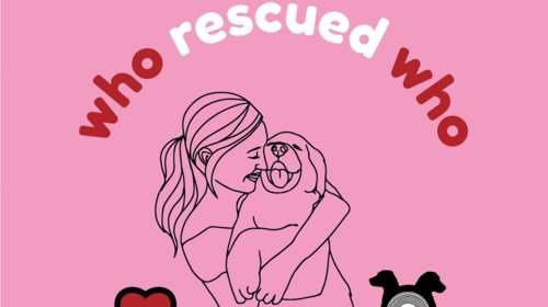 Παγκόσμια ημέρα ζώων η Παρασκευή - Μια ημέρα που αφορά σε όλα τα ζώα - Η Dogs&#39; Voice ζητά να μοιραστείς τη δική σου ιστορία