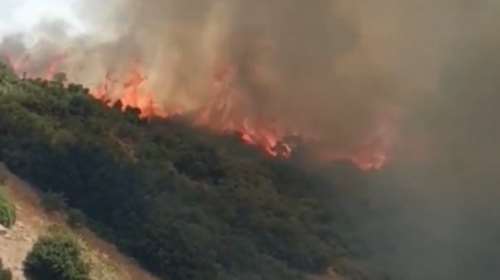 Μεγάλη φωτιά στη Λαμία: Ισχυρές πυροσβεστικές δυνάμεις στην περιοχή της Καμηλόβρυσης [βίντεο]