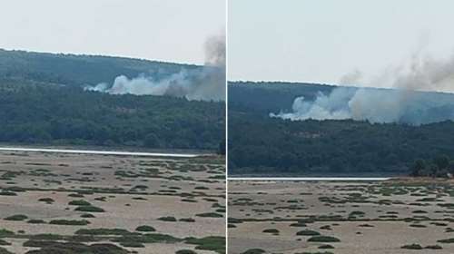 Φωτιά στη Λέσβο: Στις φλόγες δασική έκταση στην περιοχή Αχλαδερή - Επιτόπου επίγειες και εναέριες δυνάμεις [εικόνες]