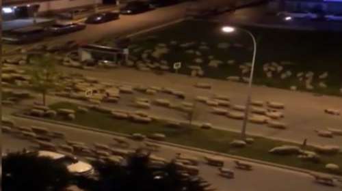 Τουρκία - Κορονοϊός: Χιλιάδες πρόβατα σε έρημες από την καραντίνα λεωφόρους [βίντεο]