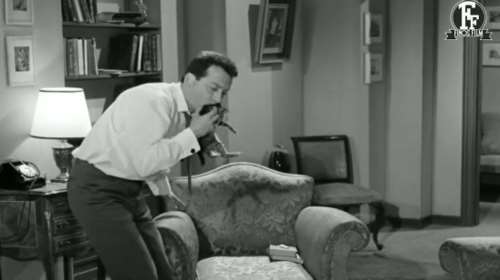 Finos Film: Το απολαυστικό βίντεο για την Παγκόσμια Ημέρα των Ζώων