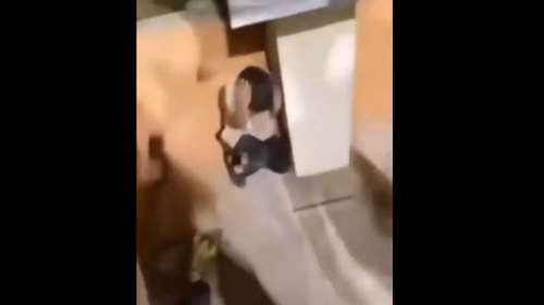 Κομοτηνή: Εξοργιστικό βίντεο - Ακροδεξιοί τραμπουκίζουν παιδάκι και του ζητάνε να πει &quot;Ζήτω ο Κασιδιάρης&quot;