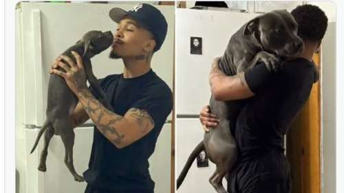 Τρομακτικό έγκλημα στη Νέα Υόρκη: Άνδρας πέταξε σκύλο από τον 14ο όροφο - &quot;Τον δολοφόνησε χωρίς λόγο&quot;