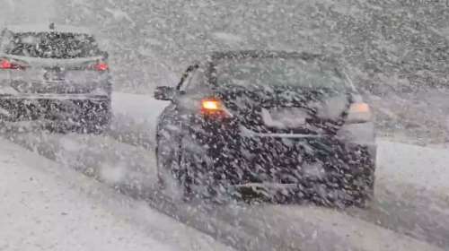 Πολικές θερμοκρασίες στις ΗΠΑ: &quot;Χιονοθύελλα λίμνης&quot; στο Μίσιγκαν, πάγωσαν τα ιγκουάνα στη Φλόριντα [εικόνες-βίντεο