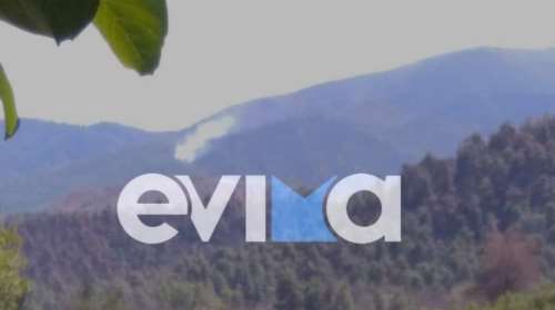 Νέος συναγερμός στην Εύβοια: Αναζωπύρωση στο Τρούπι - Επιχειρούν ισχυρές δυνάμεις