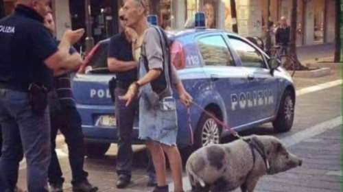 Απαγόρευση κυκλοφορίας: Τα social media έκαναν &quot;πάρτι&quot; - &quot;Βγάζω βόλτα ανθρώπους, 5 ευρώ την ώρα&quot;