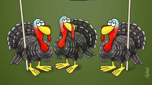 Η καλημέρα του Αρκά και... η διαμαρτυρία της γαλοπούλας [εικόνα]