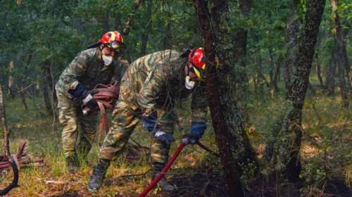 Φωτιά στη Δαδιά: Η κυβέρνηση διαψεύδει ότι καταργήθηκε ο Φορέας Διαχείρισης του Εθνικού Πάρκου - Τι συνέβη