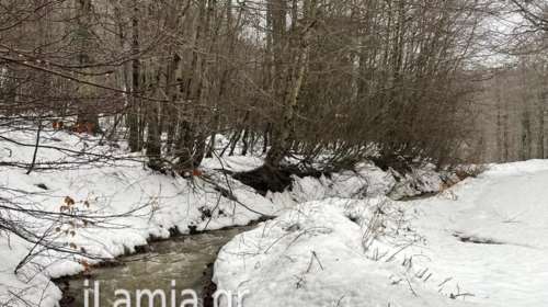 Δυτική Φθιώτιδα: Στα &quot;λευκά&quot; τα ορεινά - Το χιόνι φτάνει τους 30 πόντους [Εικόνες - Βίντεο]