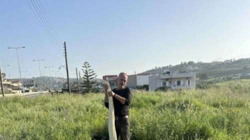 Απίστευτο: Βρήκαν πύθωνα πέντε μέτρων στο χωράφι τους στην Κρήτη [εικόνες]