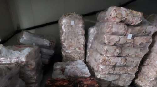 Κατασχέθηκαν 26.670 κιλά αλλοιωμένων κρεάτων σε επιχείρηση στην Αττική - Από τις μεγαλύτερες ποσότητες που έχουν εντοπιστεί