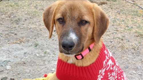 Έτσι απλά η οικογένειά της την πέταξε από το αυτοκίνητο - Από το ίδιο αυτοκίνητο που την πήγαιναν βόλτα