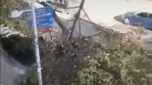 Θεσσαλονίκη: Ισχυροί άνεμοι έως 7 μποφόρ - Προβλήματα με πτώσεις δέντρων