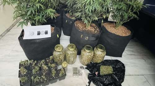 Άγ. Παντελεήμονας: Συνελήφθη 32χρονος Ολλανδός για διακίνηση ναρκωτικών - Τα έστελνε με ταξί σε κουτί από μπισκότα