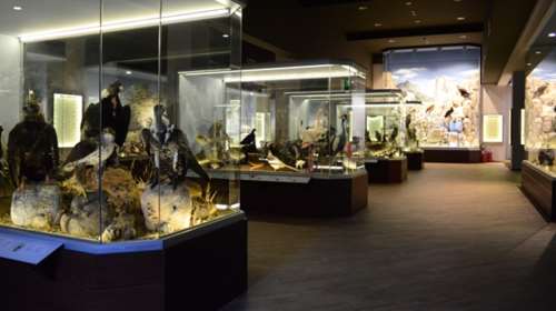 Σημαντικές βραβεύσεις για το Μουσείο Φυσικής Ιστορίας Μετεώρων και Μουσείου Μανιταριών - 18 βραβεία μόνο το 2023