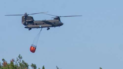 Φωτιά στον Έβρο: Νέες αντιπυρικές ζώνες στο νοτιοδυτικό τμήμα του Εθνικού Πάρκου Δαδιάς
