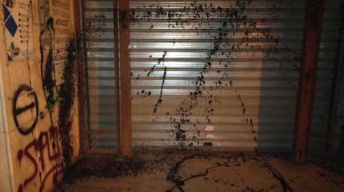 Θεσσαλονίκη: Επίθεση με μπογιές και τρικάκια σε εκπαιδευτικές διευθύνσεις [εικόνες]