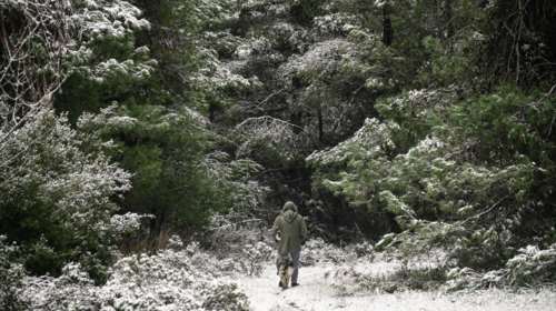 Κακοκαιρία "Ελπίς": Τι είναι η χιονοκαταιγίδα που πλήττει την Αττική [βίντεο]