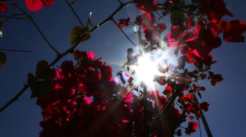 Καιρός: Ηλιοφάνεια σήμερα - Πού θα φτάσει τους 20 βαθμούς ο υδράργυρος