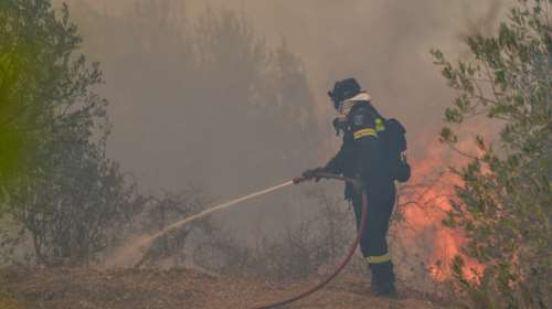Πυρκαγιά στην Εύβοια - Μεγάλη κινητοποίηση της Πυροσβεστικής [εικόνες]