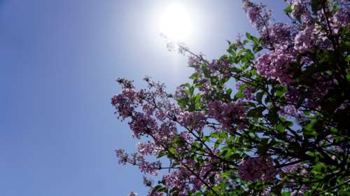 Καιρός: Εως 28 βαθμούς η θερμοκρασία σήμερα - Πού θα σημειωθούν τοπικές βροχές