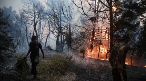 Ανοιξε η πλατφόρμα για τους πυρόπληκτους - Πώς θα υποβληθούν οι αιτήσεις ως 30 Σεπτεμβρίου