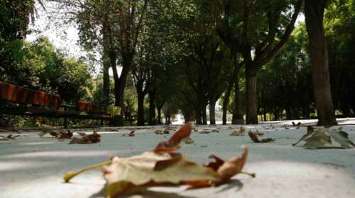 Αίθριος ο καιρός σήμερα με μικρή άνοδο της θερμοκρασίας - Πού θα σημειωθούν τοπικές βροχές