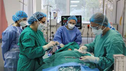 Γενικός γραμματέας ΟΕΝΓΕ: Έχουμε 124 ασθενείς που περιμένουν να μπουν σε ΜΕΘ - Οι 75 είναι με κορονοϊό