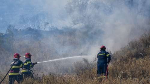 Το σχέδιο κατά των καταστροφικών πυρκαγιών: Καθαρισμός 40.000 στρεμμάτων δάσους και διάνοιξη 1.600 χλμ αντιπυρικών ζωνών