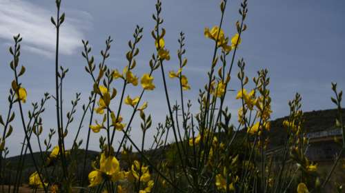 Φτιάχνει ο καιρός από σήμερα: Ερχονται 20αρια με λίγες νεφώσεις - Πού αναμένονται τοπικές βροχές