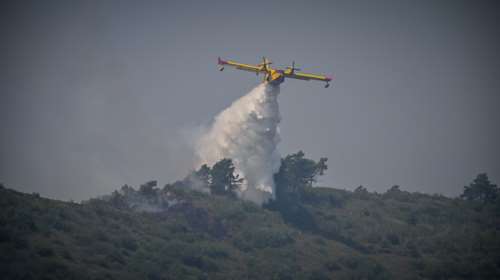 Πυρκαγιά στο Περίβλεπτο Μαγνησίας - Μεγάλη κινητοποίηση της Πυροσβεστικής