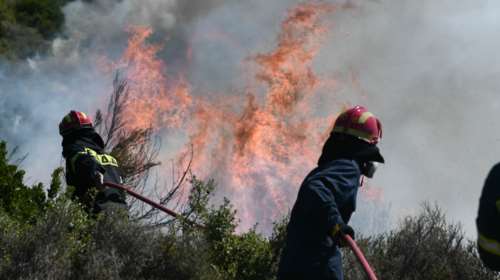 Πυροσβεστική: 55 δασικές πυρκαγιές εκδηλώθηκαν την Κυριακή σε όλη τη χώρα