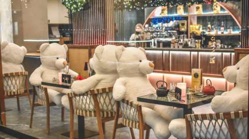 Καφέ στην Καρδίτσα με πελάτες υπέροχους... λευκούς αρκούδους - Στόλισε για τα Χριστούγεννα [εικόνες]