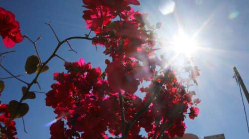 Επιστρέφει η άνοιξη: Ανεβαίνει η θερμοκρασία - Πού θα σημειωθούν τοπικές βροχές