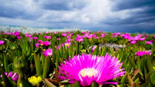 Ο καιρός της Μ. Πέμπτης: Εως 22 βαθμούς ο υδράργυρος, σκόνη και τοπικές βροχές