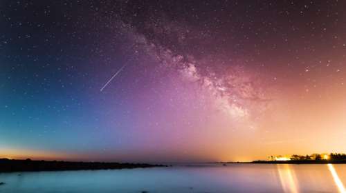 Λυρίδες: Πότε κορυφώνονται στην Ελλάδα τα πρώτα &quot;πεφταστέρια&quot; της άνοιξης