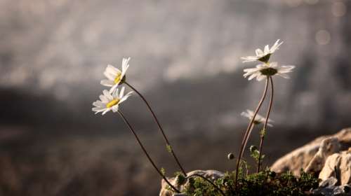 Ξανά καλοκαίρι από την Πέμπτη- Ηλιος και θερμοκρασία πάνω από τους 22 βαθμούς